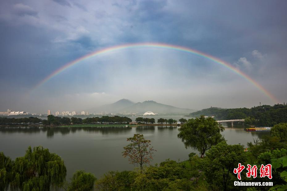 人和狗操逼视频网站