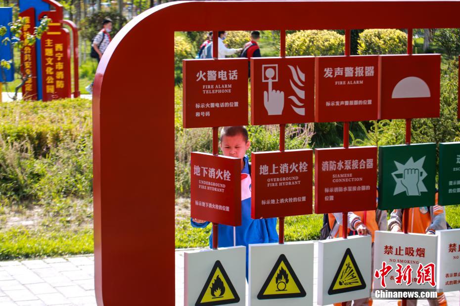 毛片软件