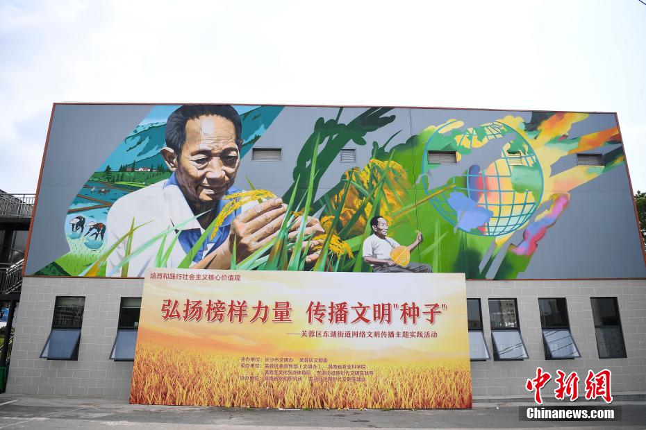 黄色视频下载可以