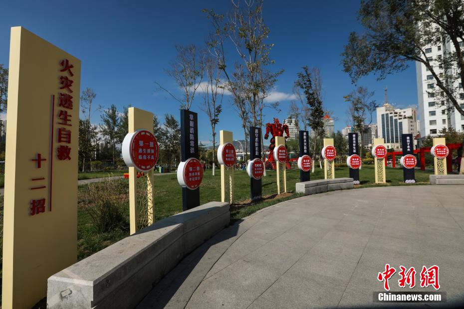 免费无遮挡 游戏