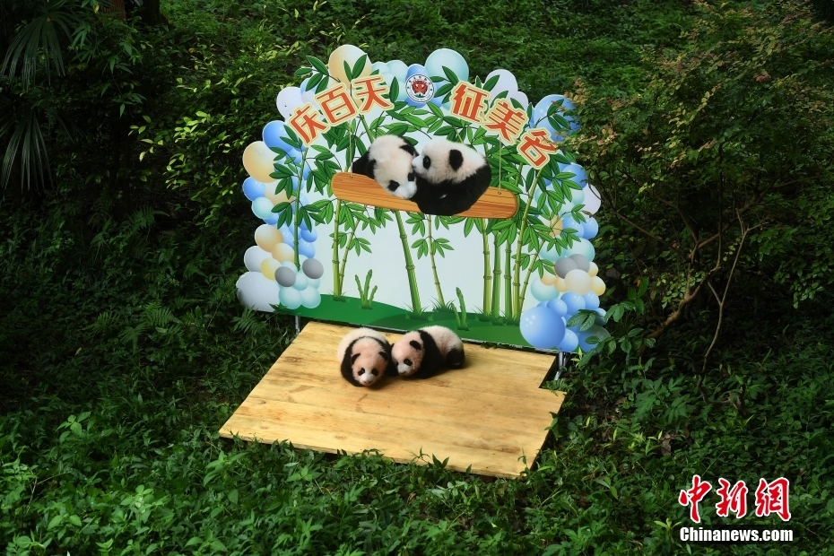 成年人看的视频在线免费播放
