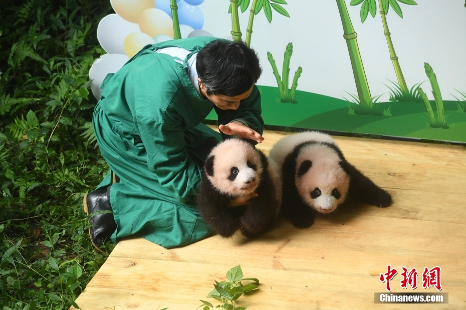 旺來寫真