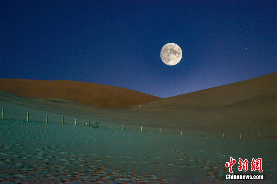 十大黄色软件