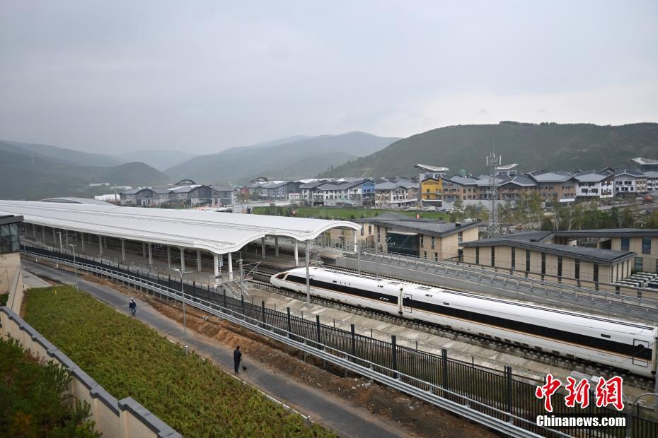 日韩无码免费视频