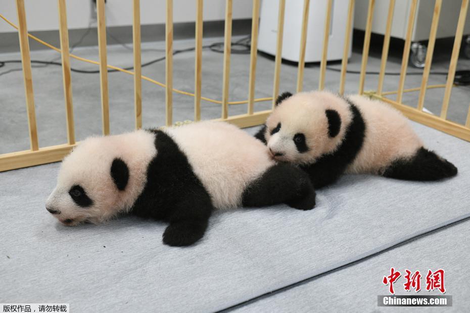 懂色