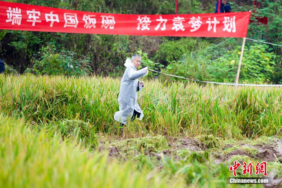 亂倫成人片