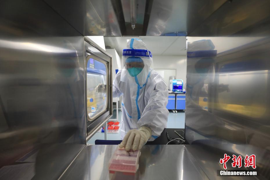 真人高清实拍女处被破的视频