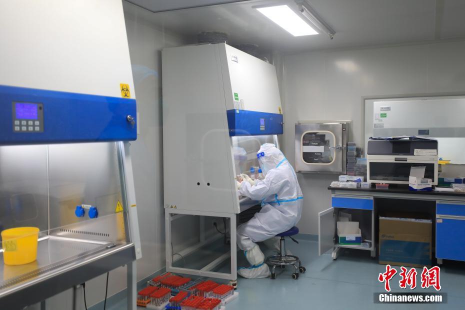 高清 成人 网
