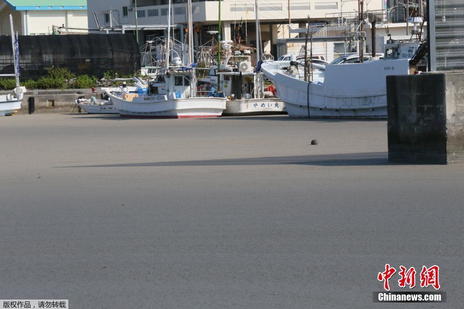 日本五十路熟妇乱仑