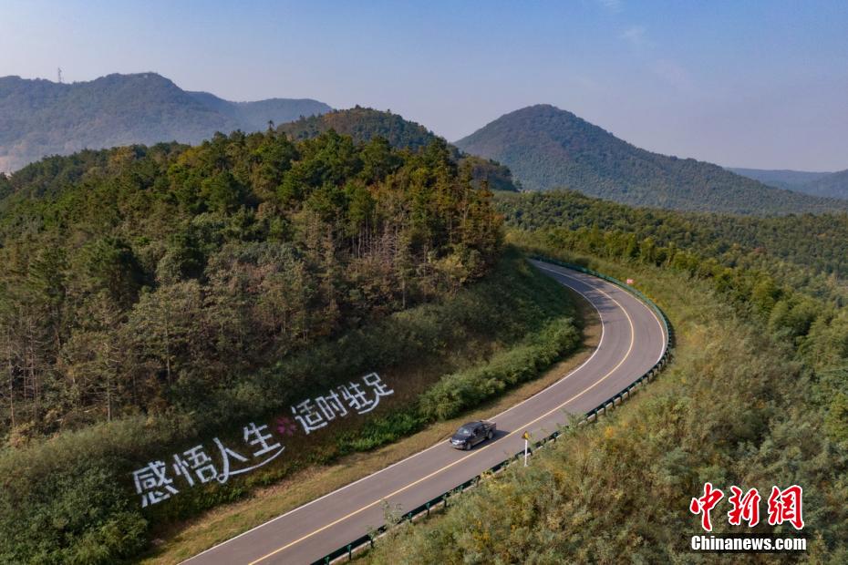杨钰莹性做爰A片免费