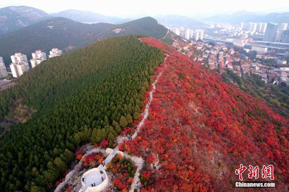 亚洲福利一区