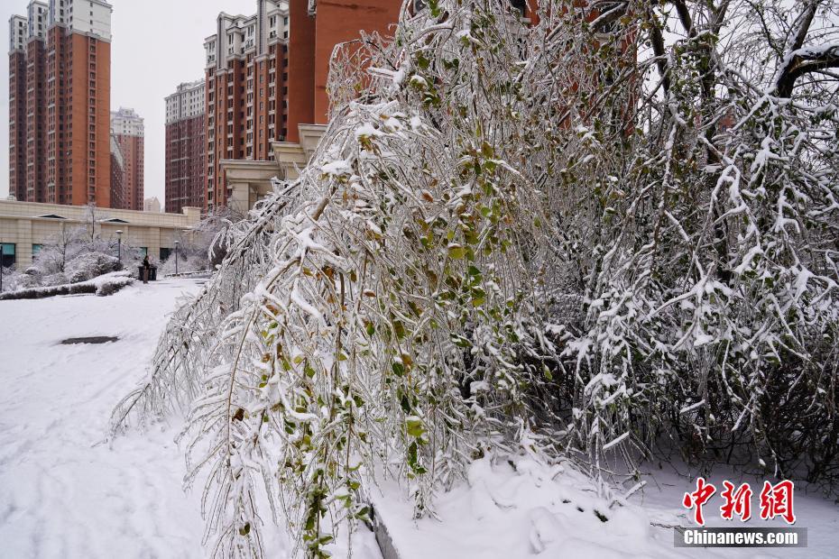 国产91在线拍揄自揄拍无码九色