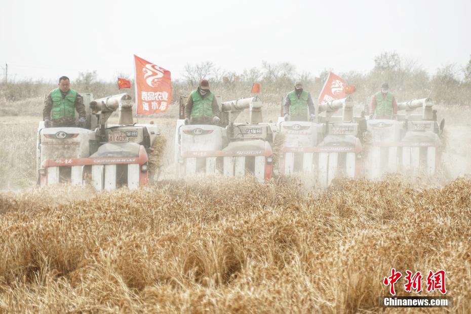 毛片一级片