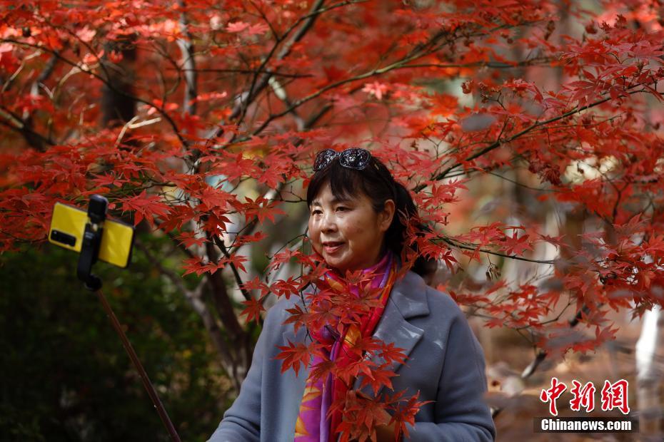 裸裸美女三级片