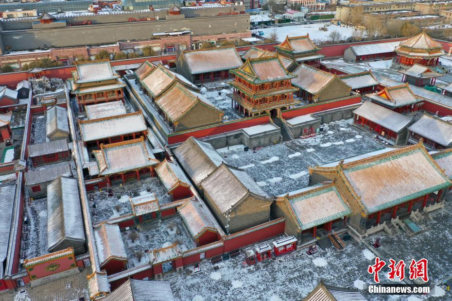 高樹瑪莉亞