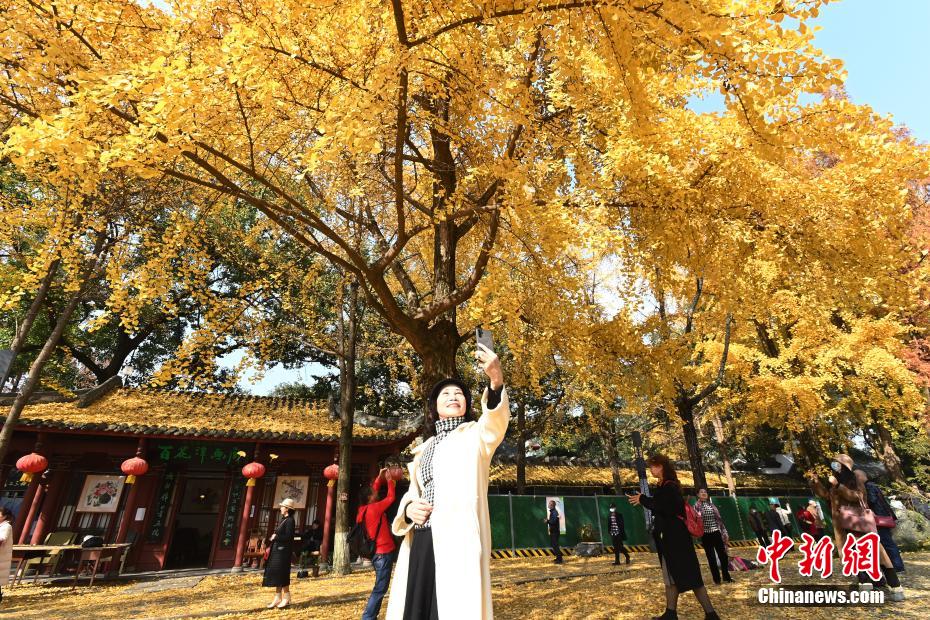 日本正妹