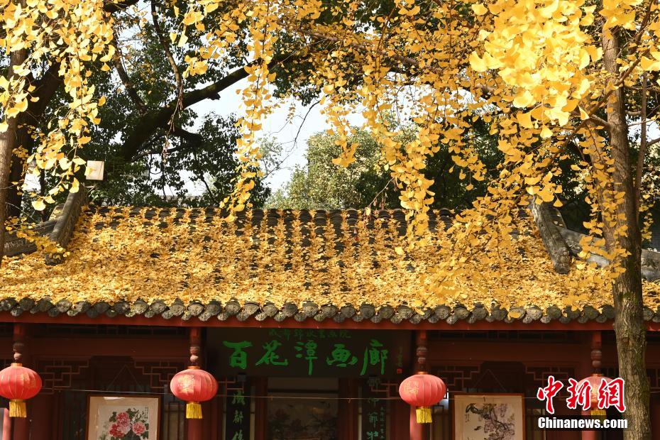 掀起小裙子扒下内裤打屁股