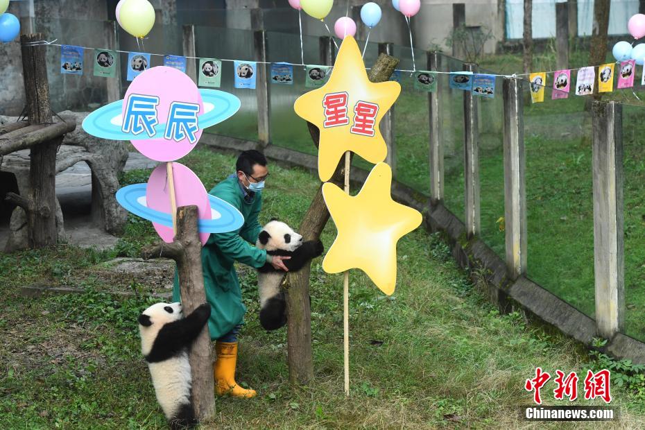 亚洲四区乱伦中文字幕