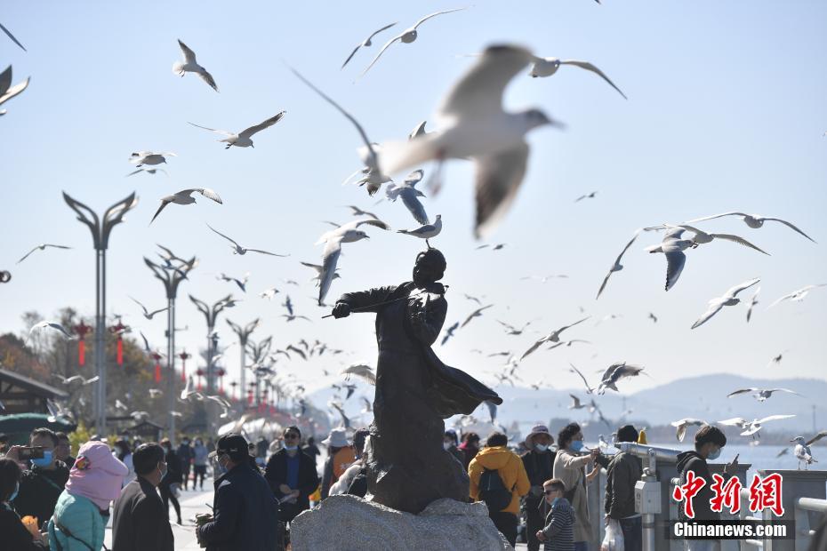 免费 国产 色情