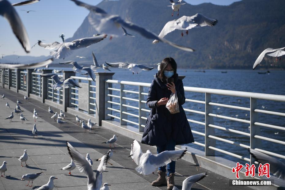 2345浏览器怎样免费打电话