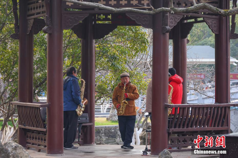 免费精品黄色