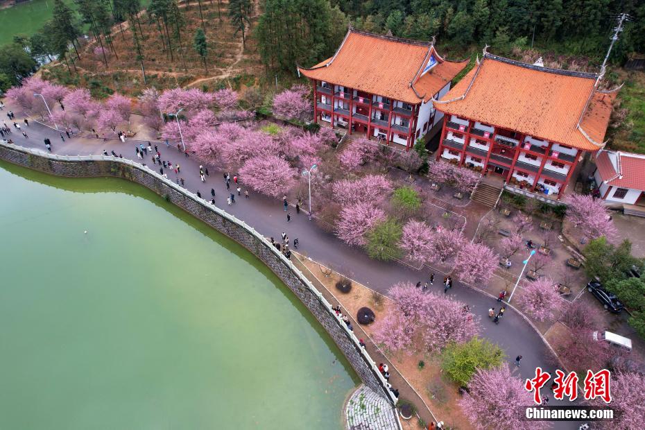 中文无码熟妇人妻Av在线