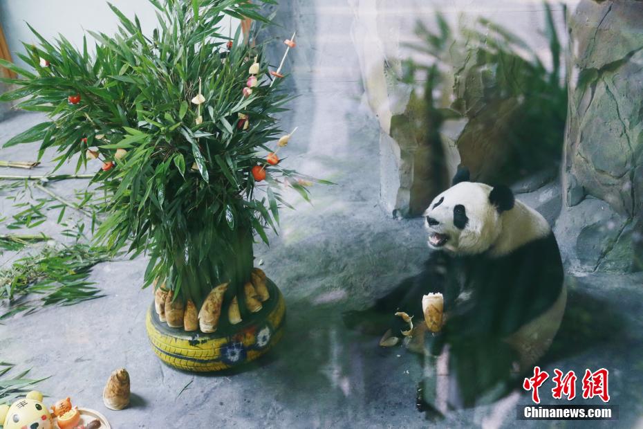 欧美Xxxx性