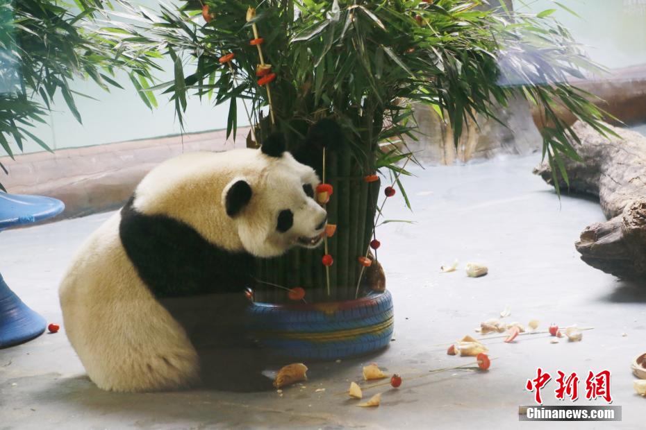 越南A级淫片