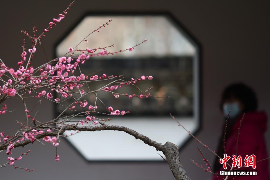 欧美黑妇一区