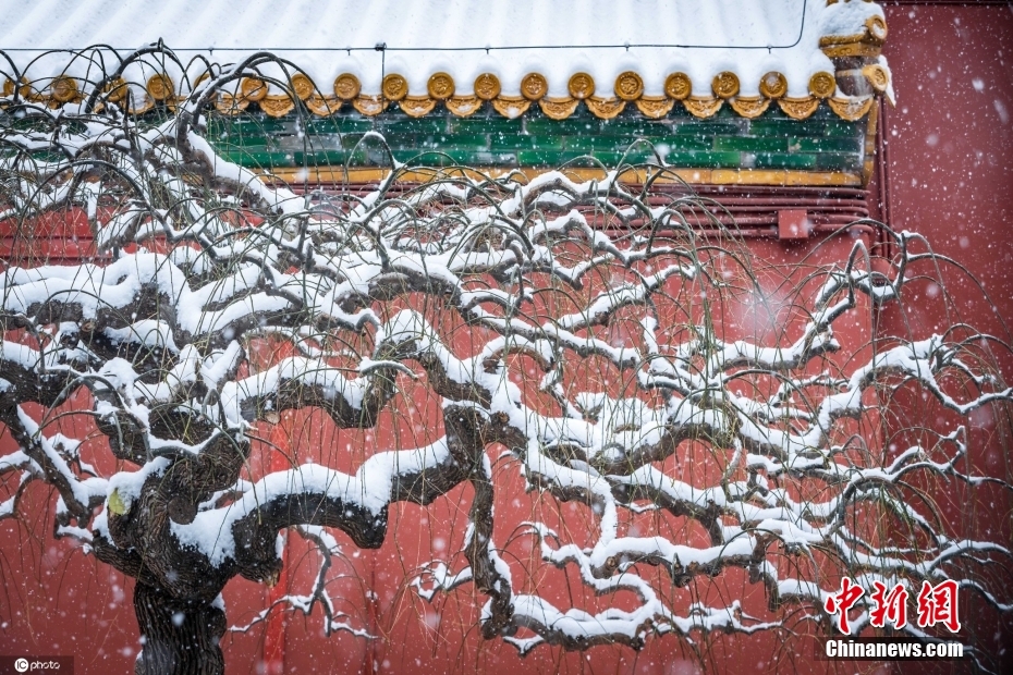 橫山美雪