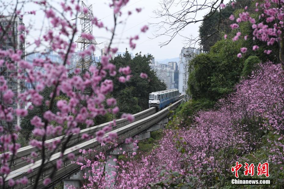 色情 免费 电影