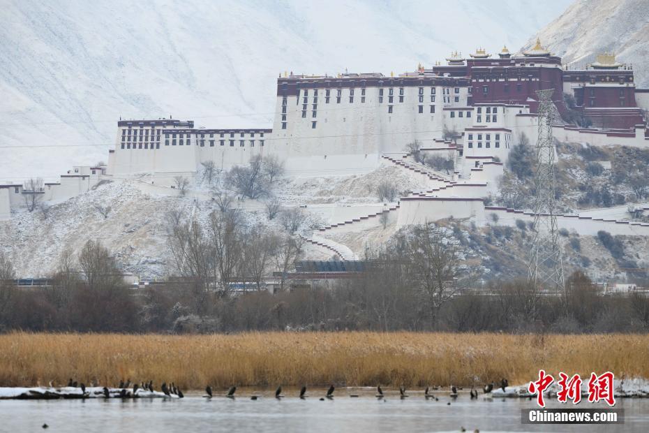 向颜值低头 《推理学院》年度男神女神登场[多图]