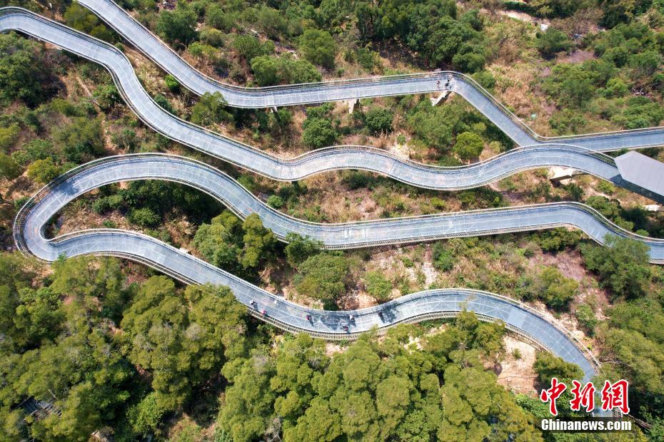 中国新嫩模 逼