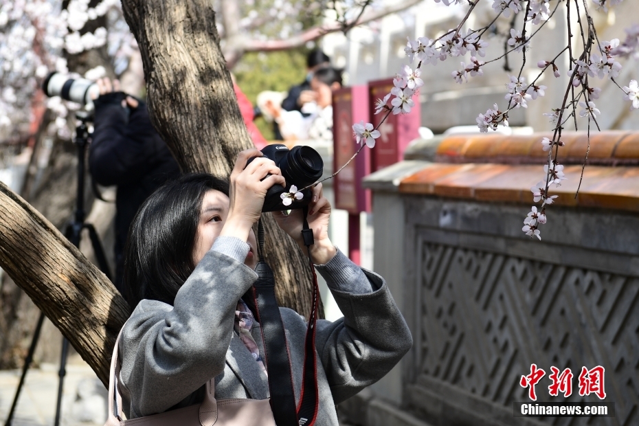 成人免费直播