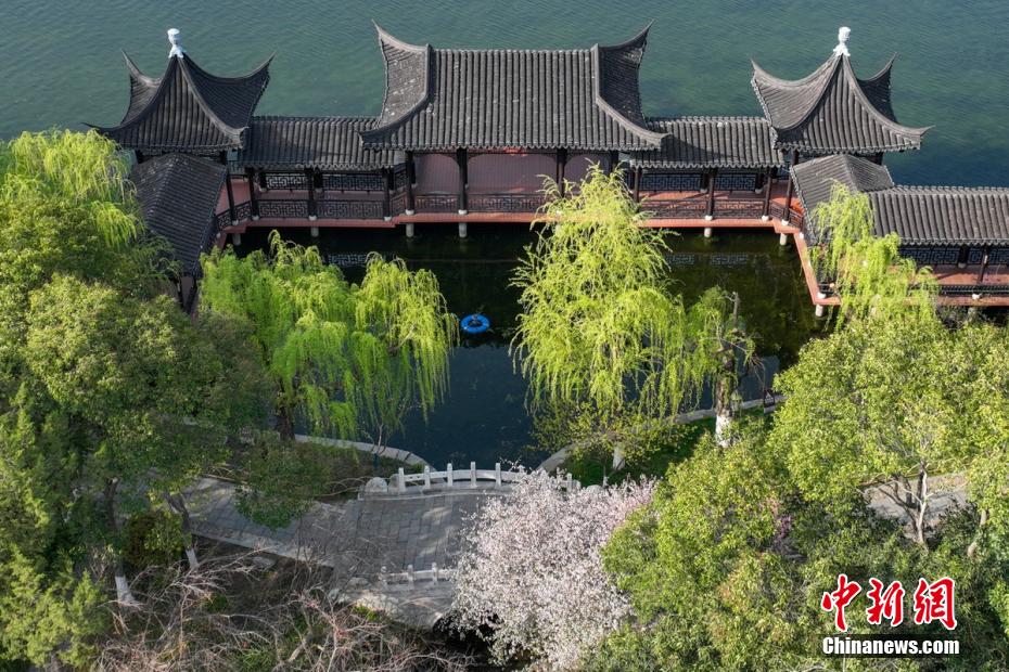 免费福利伦理片