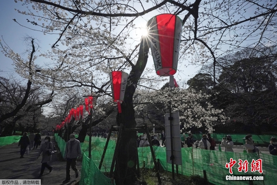 天天干狠狠干