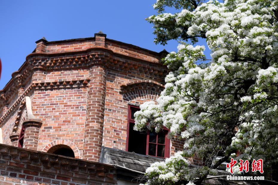 隊記：阿門-湯普森大概率因腳踝傷勢退出剩餘夏聯比賽