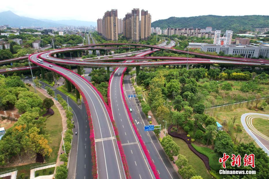 台湾梦梦