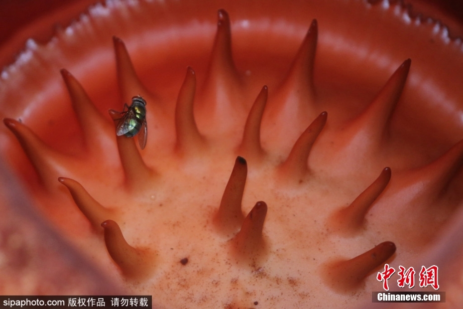 在线免费能看的黄色网址