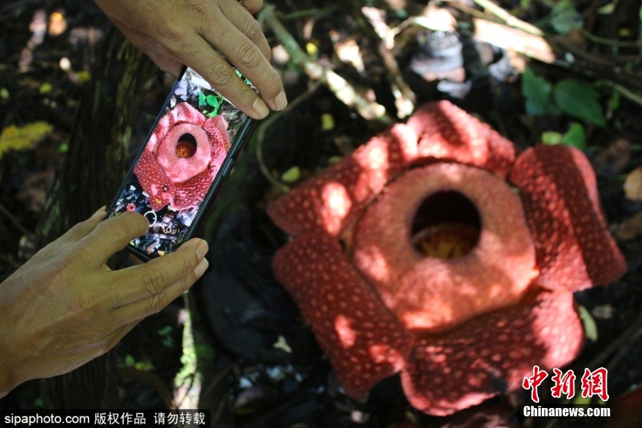 片瀬仁美