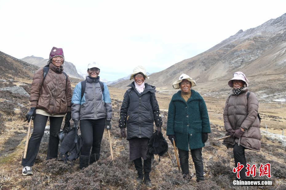 在线播放黄色视频