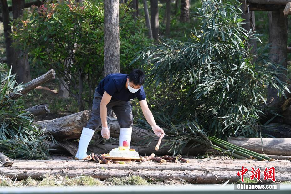 张筱雨的裸体视频