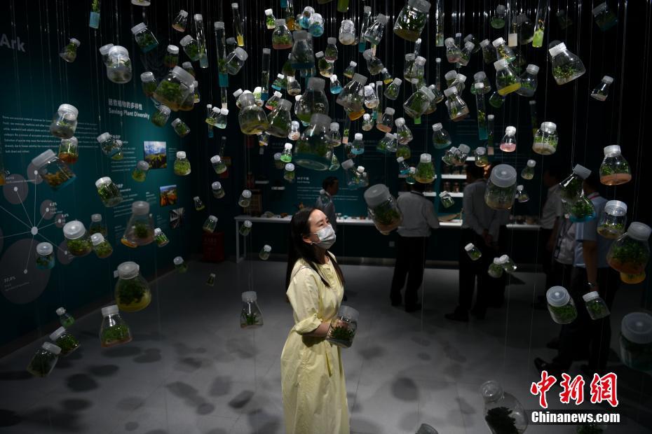 色戒韩国无删减版在线