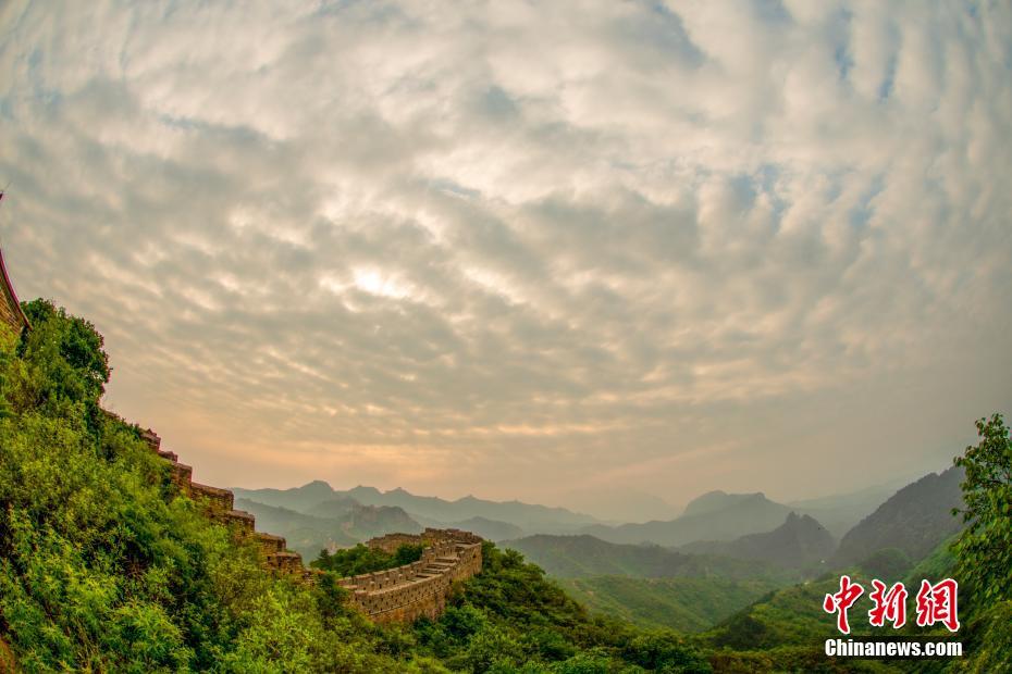 亚洲 成人 小说 校园 激情