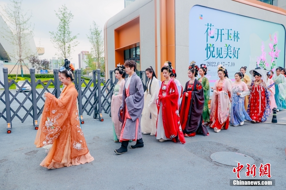 又大又粗又爽毛片毛绒