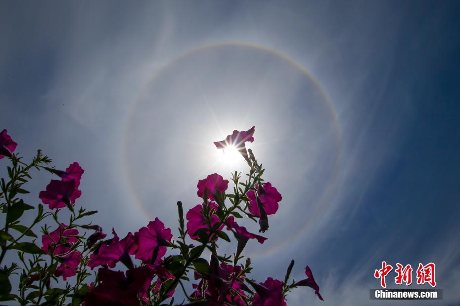 中国成熟夫妻生活黄片