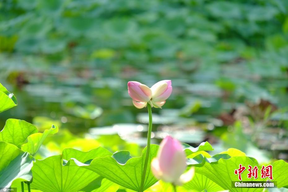 边吻奶边挵进去gif动态图免费