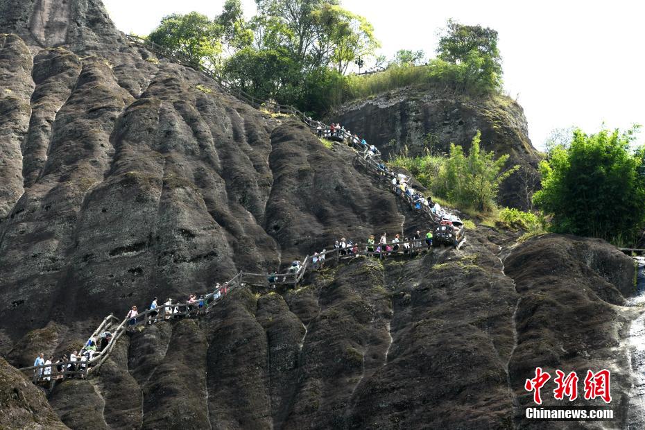成人 电影 免费 下载