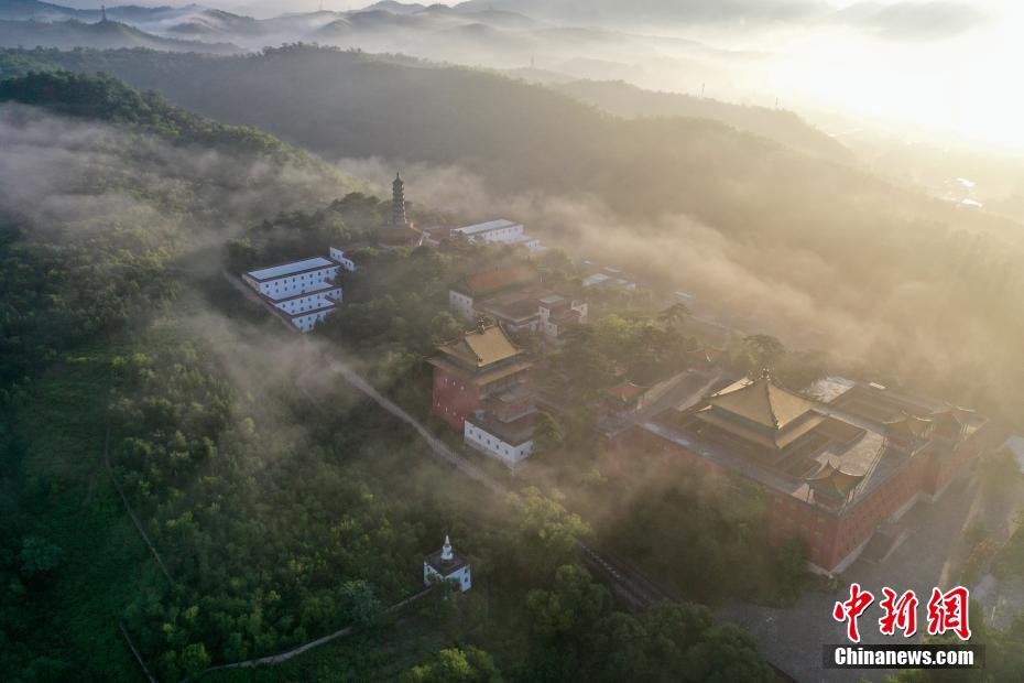 台灣約愛