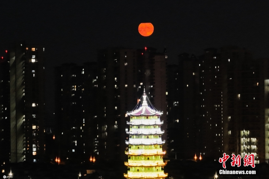 无码原视频